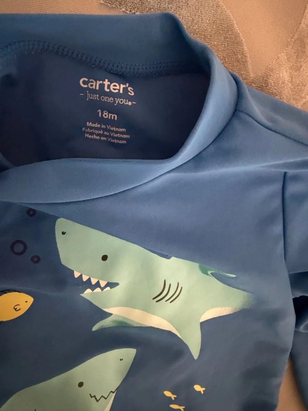 Carters Boy Bathing Suit
